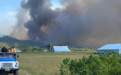 Incendio forestal en Pinar del Río arrasa más de 3000 hectáreas