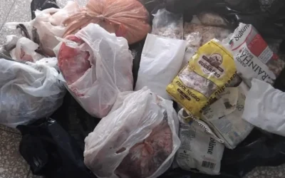 Pareja arrestada en Holguín por tráfico de especies marinas protegidas